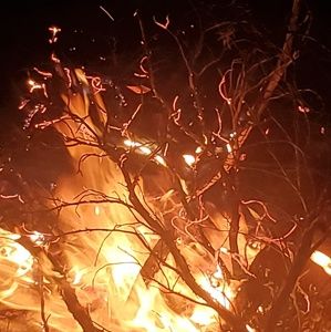 Meet your Posher, Lucas